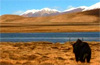 Voyage au Tibet